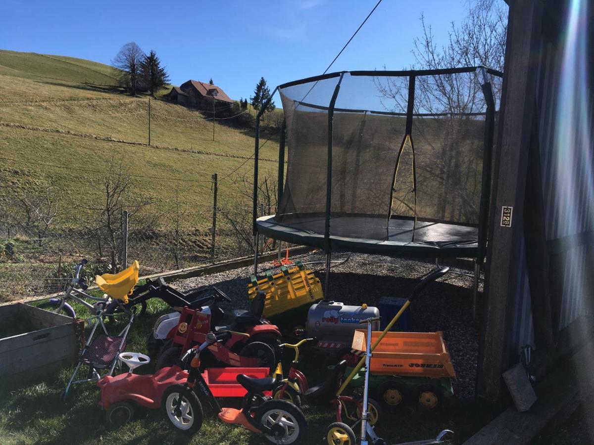 3,5 Zimmerferienwohnung Schwalbenaescht Rueeggisberg المظهر الخارجي الصورة